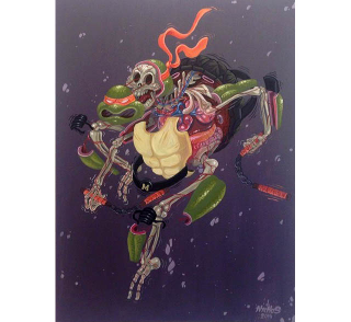Illustration for article titled Here Is What The Teenage Mutant Ninja Turtles Look Like On The Inside